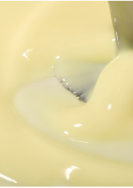 The Energy Collection