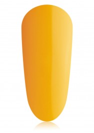 Butternut