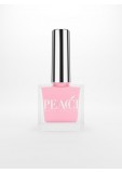 Peacci Pink Carnation