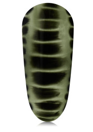 The Reptile Kit