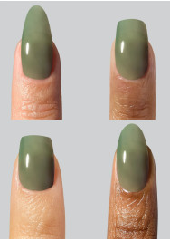 The Reptile Mini Kit