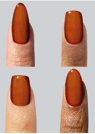 The Reptile Mini Kit