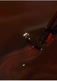 The Reptile Mini Kit