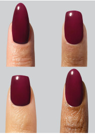 The Reptile Mini Kit