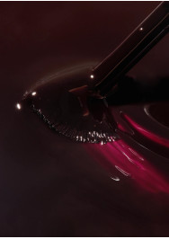 The Reptile Mini Kit