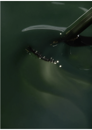 The Reptile Mini Kit