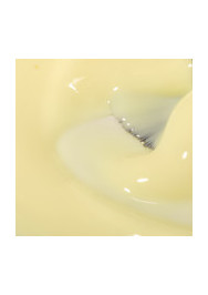 The Energy Collection