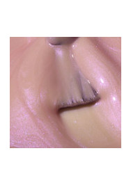 The Energy Collection