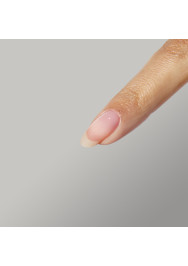 The Energy Collection