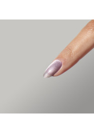 The Energy Collection