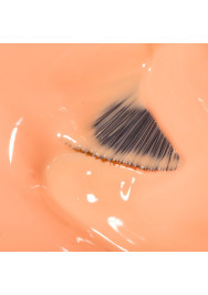 The Energy Collection