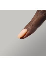 The Energy Collection